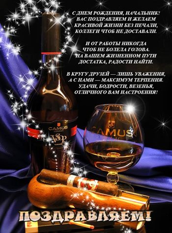 Немного тепла и заботы