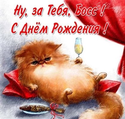 Немного тепла и заботы