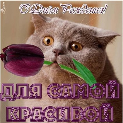 Позитивные эмоции для Открытки девушке с Днем Рождения