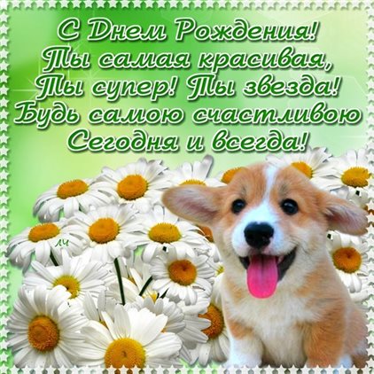 Немного волшебства в ваш день