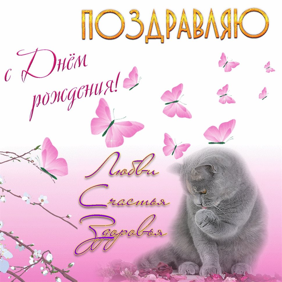 Пусть улыбка не сходит с лица