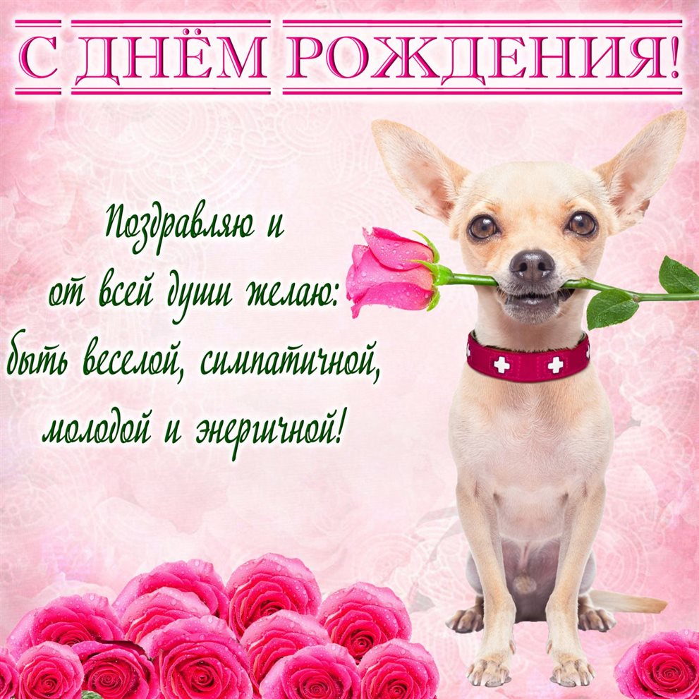 Яркие пожелания для Открытки девушке с Днем Рождения