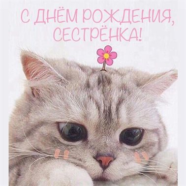 Нежные поздравления для Открытки сестре с Днем Рождения