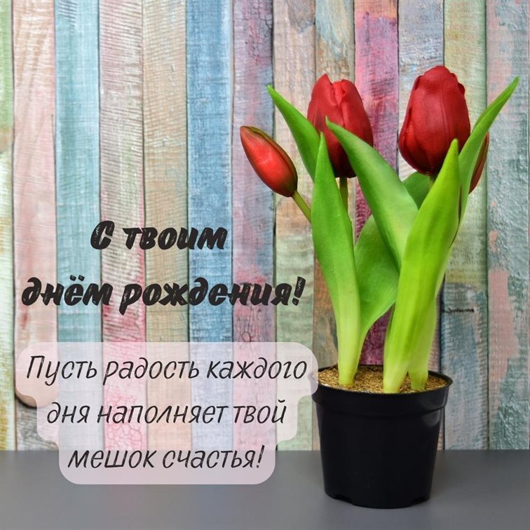 Пусть каждый день дарит счастье