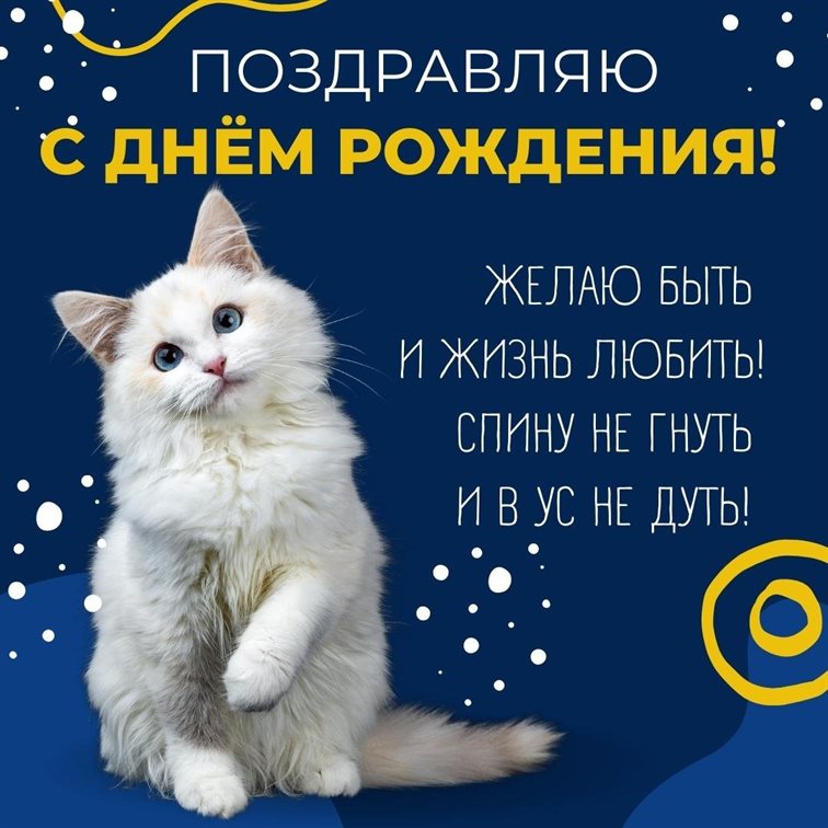 Пусть мечты сбываются