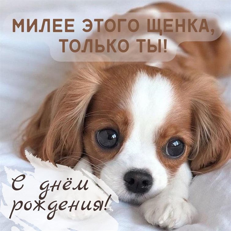 Пусть этот день принесёт радость