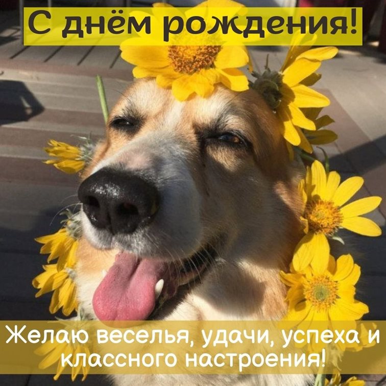 Лучшие пожелания