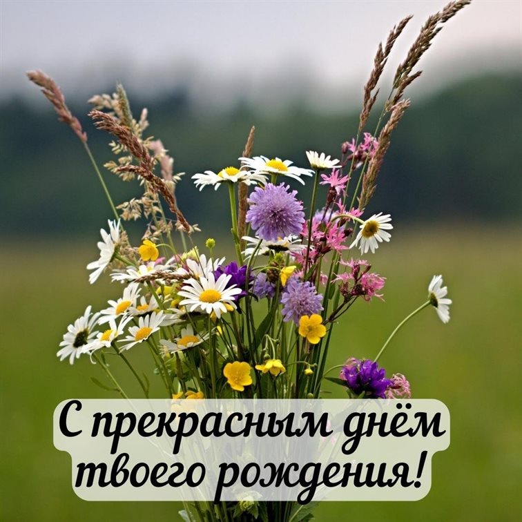 Пусть радость будет с вами