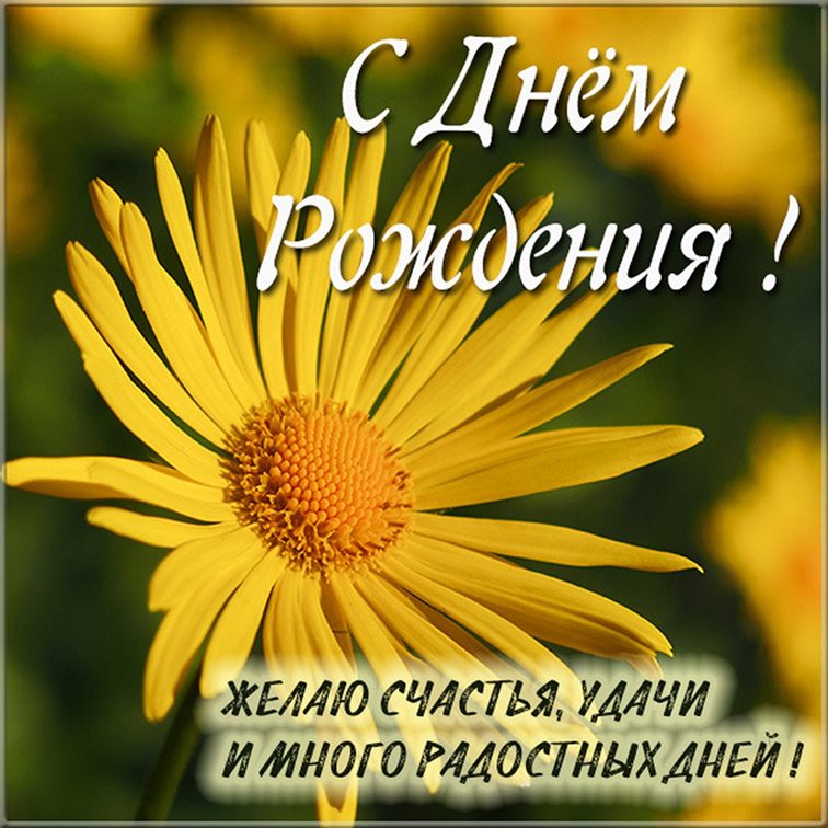 Открытка с Днем Рождения, моя дорогая и родная — прекрасный выбор!