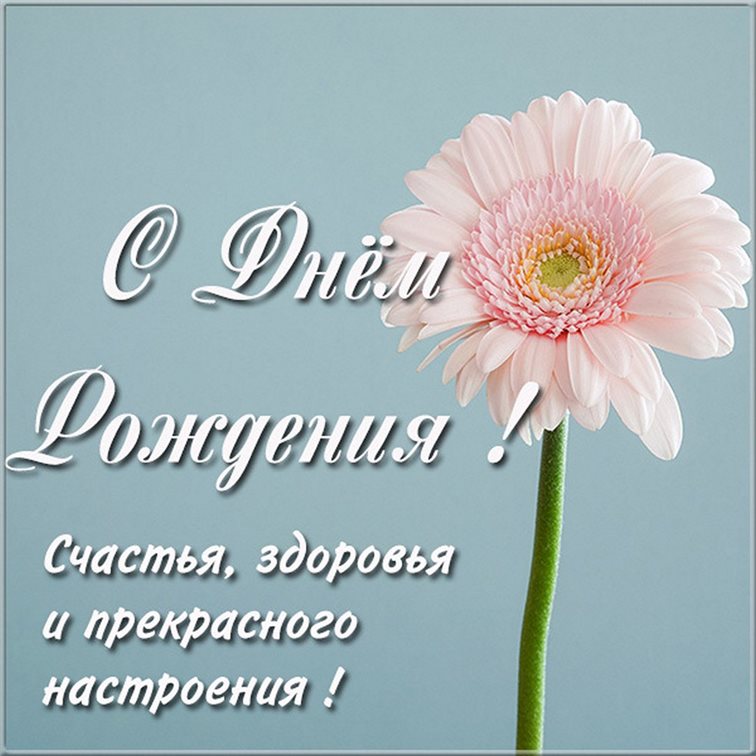 Теплые слова для Открытка с Днем Рождения, моя дорогая и родная