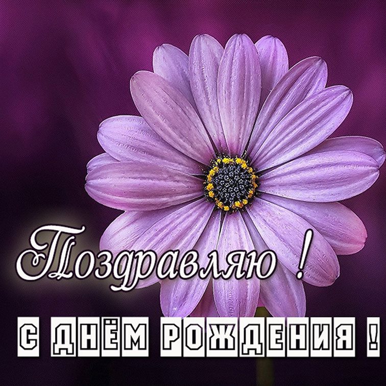 Пусть каждый день дарит счастье