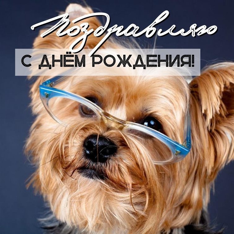 Яркая открытка для вас