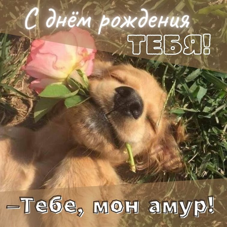 Пусть будет весело и светло