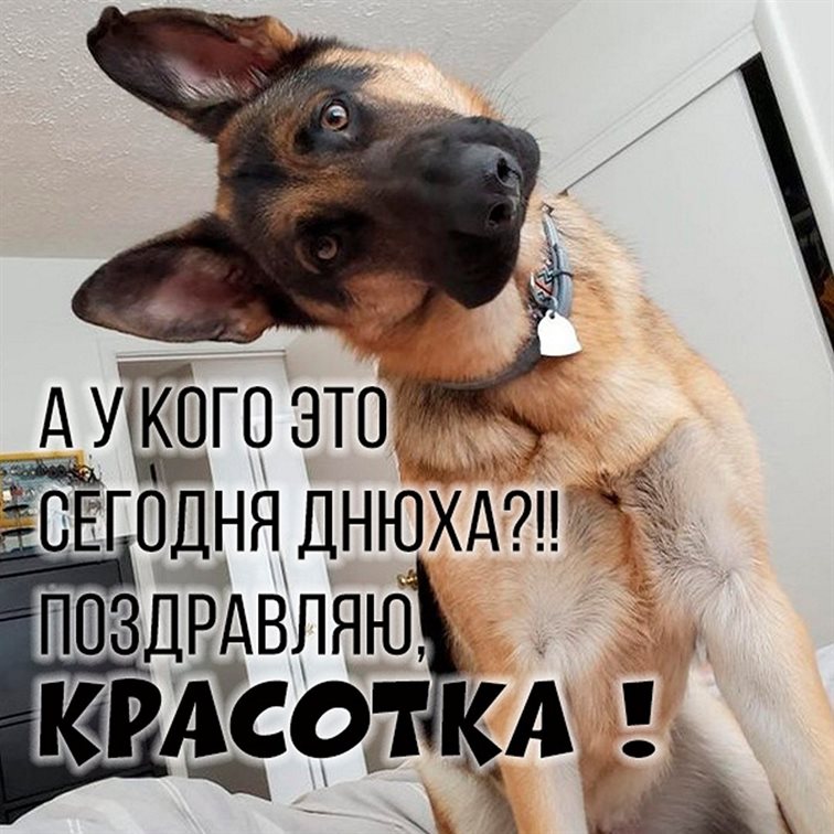 Поздравляем!