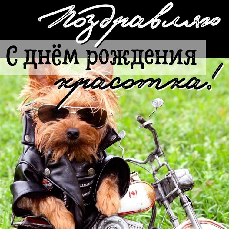 Пусть будет весело и светло