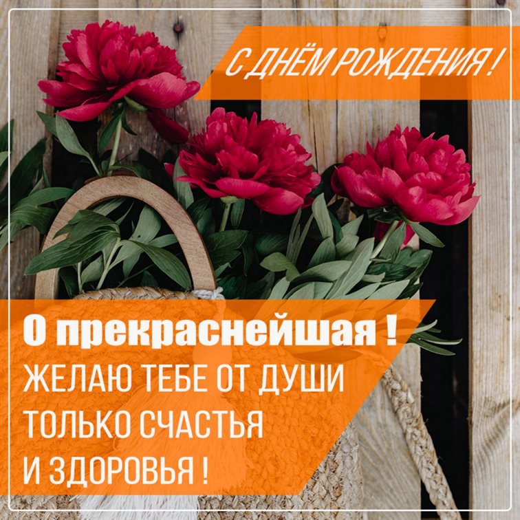 Больше радости в жизни