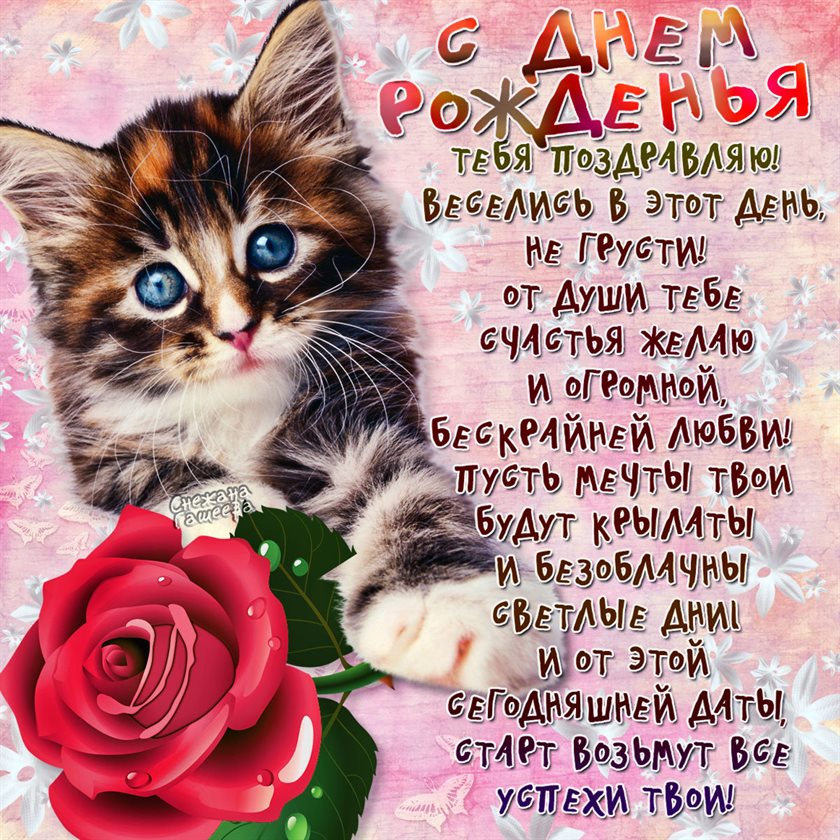 Немного тепла и заботы