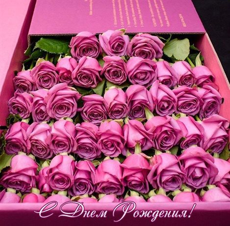 Немного волшебства в ваш день