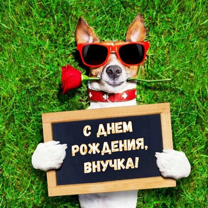 Пусть в жизни будет больше праздников